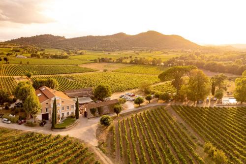 Les Arcs-sur-Argens Apartment | Discover Gîte Vert d'olive Amidst Vines at Château Les Apiès