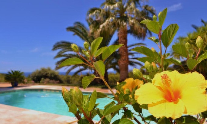 La Cadiere-d'Azur Apartment | Gîte Vue Mer: Oceanfront Escape with Family-Friendly Amenities