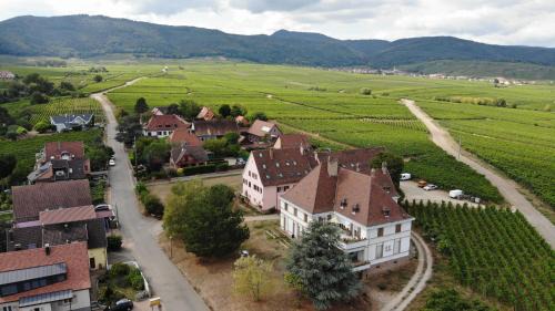 Mittelwihr House | Family-Friendly Gîtes at Domaine Greiner with Great Reviews