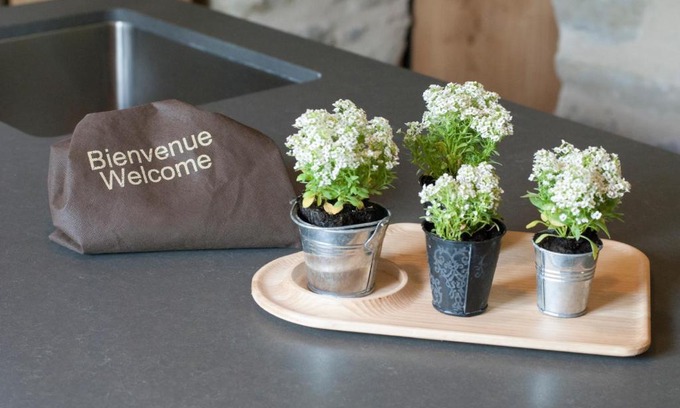 Assisi Hotel | Eco-Friendly Gaiattone Resort with Pet-Friendly Amenities
