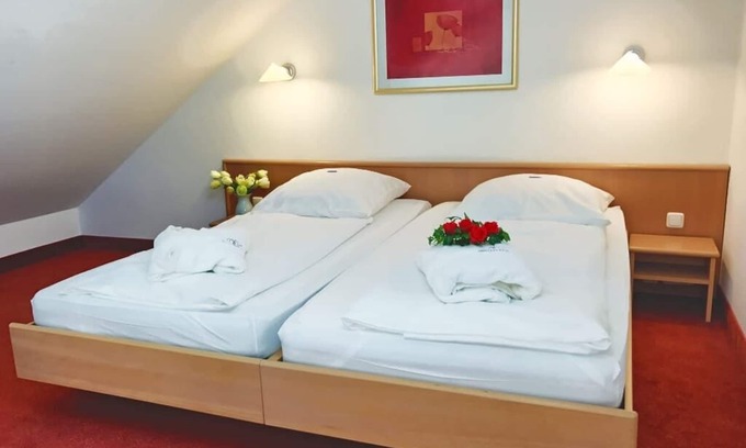 Neualbenreuth Apartment | Cozy Gallery Apartment with Fully Equipped Kitchen Awaits