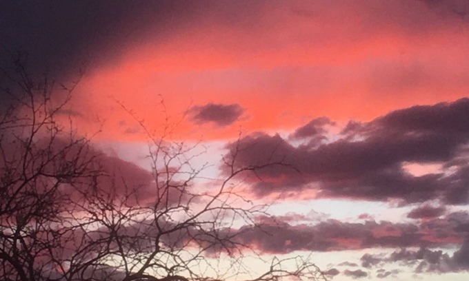 Arivaca House | Discover Gallo Libre Ranch: Pet-Friendly Retreat with Spa