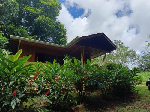 Penas Blancas House | Gambas Lodge: Guest Rated 9.7 with Pool & Breakfast