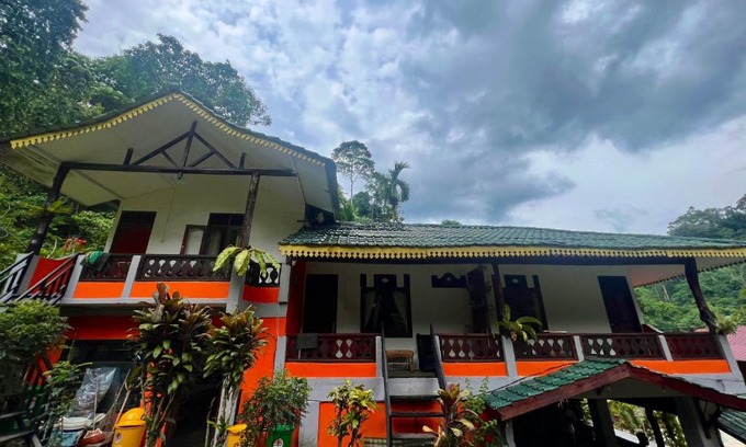Bukit Lawang House | Pet-Friendly Garden Grove Guest House & Coffee Bar Awaits