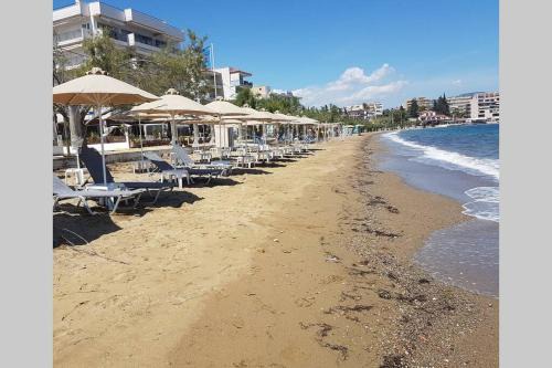 Lefkandi Apartment | Oceanfront Bliss at Garden Lefkanti - 4season Plaza Room