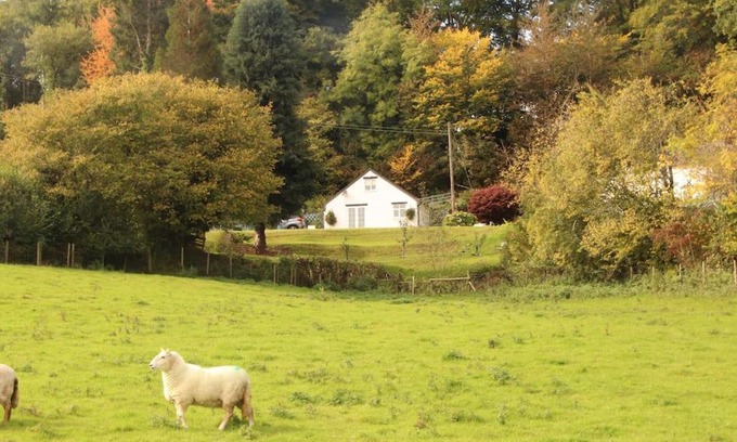 Newtown Apartment | Experience Garn Lodge: Guest Rated 9.8 for Unforgettable Stays