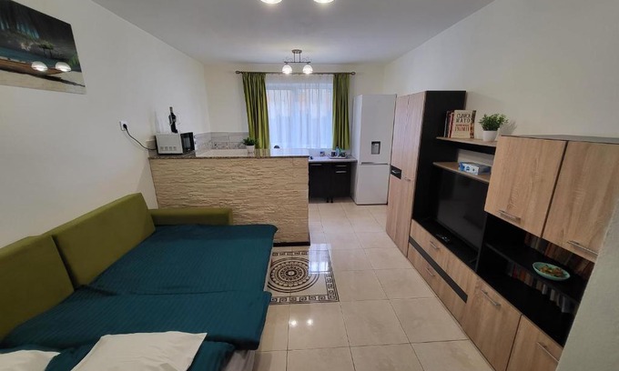 Sibiu Apartment | Cozy Garsoner Green Home: Pet-Friendly & Family Ready