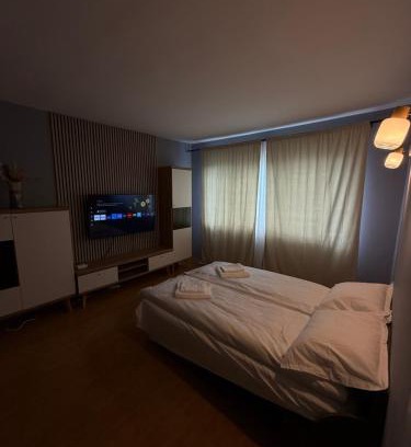 Zarnesti Apartment | Garsonieră modernă în Zarnesti