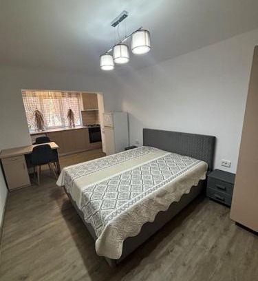 Timisoara Apartment | Modern Garsonieră: Pet-Friendly and Child-Safe Stay