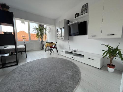 Petrosani Apartment | Top-Rated Apartments in Romania - Child Friendly & Inviting
