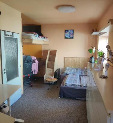 Jaromer Apartment | Pet-Friendly Garsonka in Beautiful Jaroměř Awaits You