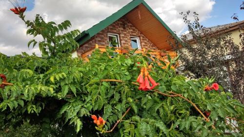 Tbilisi House | Top-Rated Gast Haus BAVARIA: Pet-Friendly and Accessible Stay