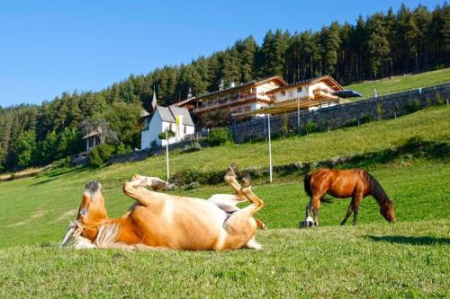 Collalbo Hotel | Pet-Friendly Retreat at Gasthaus Bad Siess with Ocean Views
