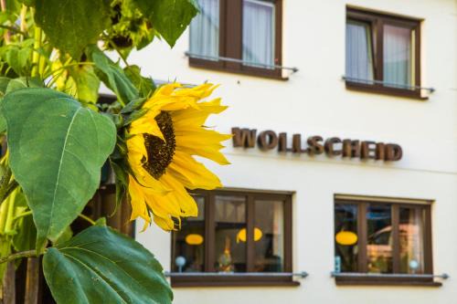 Tarforst House | Discover Gasthaus Wollscheid: Family-Friendly Dining Awaits