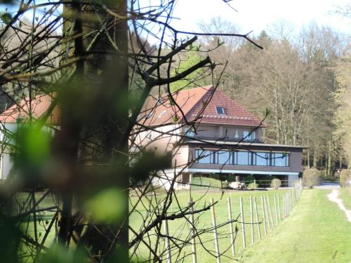 Bad Iburg Hotel | Discover Gasthaus zum Dörenberg: Pet-Friendly Retreat