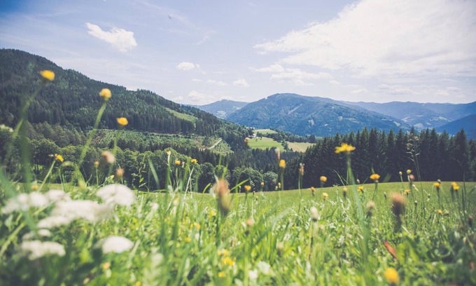 Stanz Im Murztal Hotel | Guest Rated Gasthof Oberer Gesslbauer with Eco-Friendly Dining