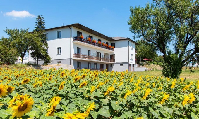 Breitenbrunn House | Pet-Friendly Gasthof-Pension Wein with Great Breakfasts