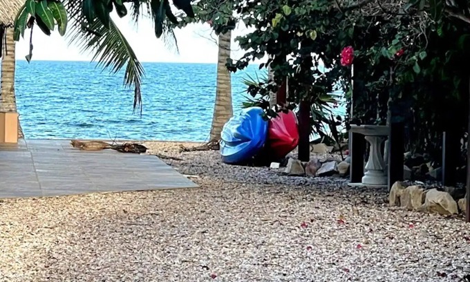 Sittee River House | Beachfront Bliss at Hopkins Beach Retreat - Pool, Bikes & More