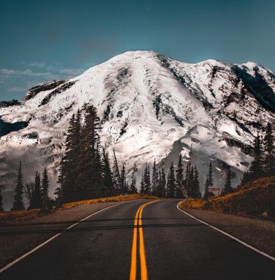 Nisqually Park Hotel | Cozy Gateway Inn & Cabins with Family-Friendly Amenities