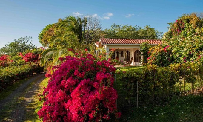 Tilaran House | Gateway to Paradise: Family & Pet-Friendly Retreat Awaits