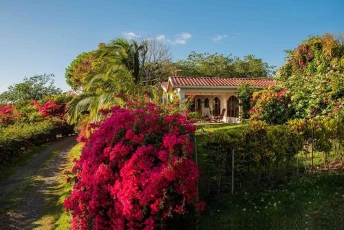 Tilaran House | Discover Gateway to Paradise: 4-Star Pet-Friendly Retreat