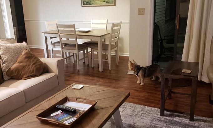 Saint Simons Island Condo | Gateway to the Village: Pet Friendly with Ocean Views