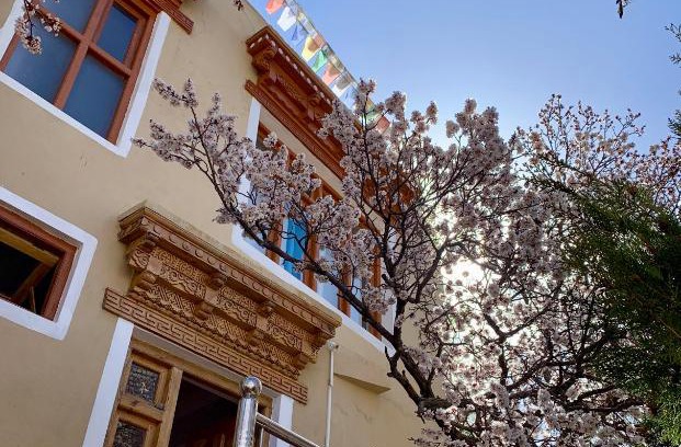 Leh House | Budget-Friendly Stay at Gaywoo Guest House - Rated 9/10!