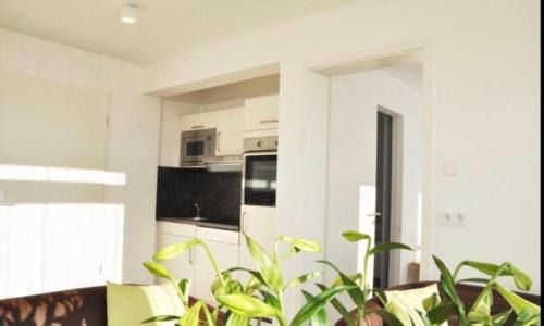 West Pomeranian Voivodeship Apartment | GC SPACE Deluxe Apartments in Centrum