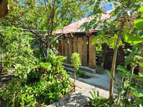 Lubok Buaya House | Oceanfront Gecko Guesthouse with Family-Friendly Vibes