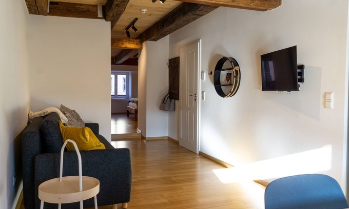 Villingen-Schwenningen Apartment | Cozy City Apartment in Renovated Building with Breakfast