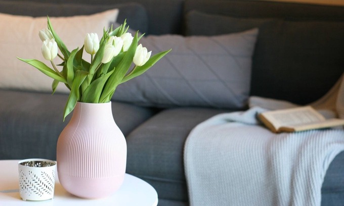Ueckermuende Apartment | Cozy Vacation Rentals in Ueckermünde by the Harbor