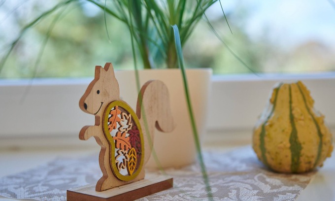 Riesa Apartment | Cozy Country Retreat with Child-Friendly Amenities