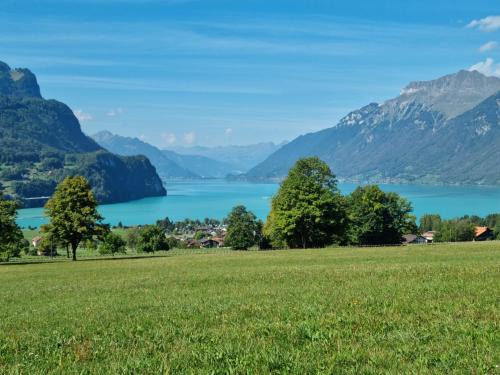 Schwanden bei Brienz Apartment | Cozy Retreat Between Lake and Mountains with Family Amenities