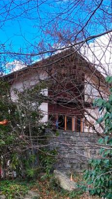 Biasca Apartment | Cozy Garden Apartment with Oceanfront Views & Top Ratings