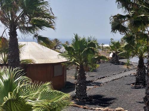 La Asomada Apartment | Discover Cozy La Asomada Jurt in Lanzarote – Family-Friendly