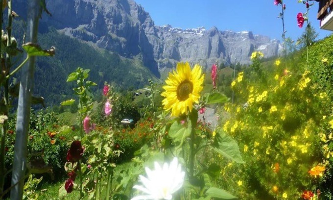 Albinen Apartment | Cozy Apartment with Breathtaking Mountain Views & Hot Tub