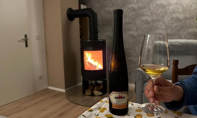 Echternacherbruck Apartment | Cozy Holiday Home with Fireplace - Sunny Hill Retreat