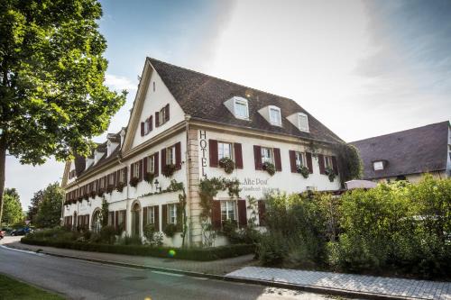 Muellheim Hotel | Eco-Friendly Biohotel Alte Post with Pet-Friendly Amenities