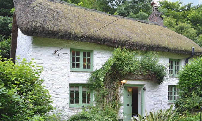 Bucks Mills Cottage | Charming 2-Bedroom Stay in Bucks Mills with Ocean Views