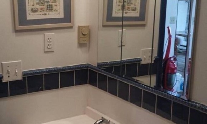 Georgetown Cabin | Georgetown Lakeview Cabin: Guest Rated 9.4, Pet Friendly!