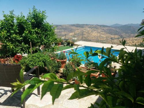 Lasa Bed & Breakfast | Discover Georgia's House: Pet-Friendly Retreat with Pool