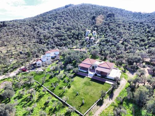 Gera House | Cozy Gera's Olive Grove: Family-Friendly Oceanfront Retreat