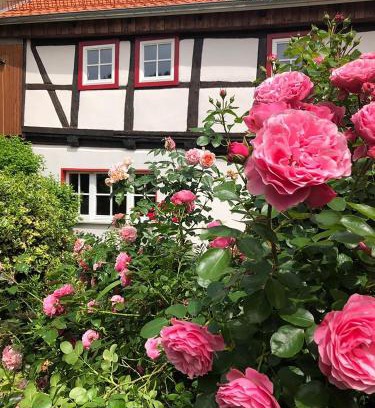 Bornecke House | Welcoming Gesindehaus Bornecke: Rated 9.1, Pet & Child Friendly