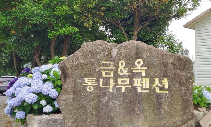 Seogwipo City House | Eco-Friendly Geumok Log Pension with Family Amenities