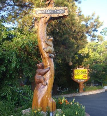 Running Springs Cabin | Giant Oaks Lodge: Rated 10/10 with Private Pool & Hot Tub