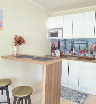 Kaunas Apartment | Cozy Linkuvos Apartments with Separate Entrance for Families