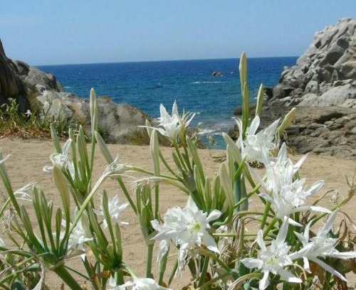 Marzamemi House | Oceanfront Getaway at Giglio di Mare - Guest Rated 8/10