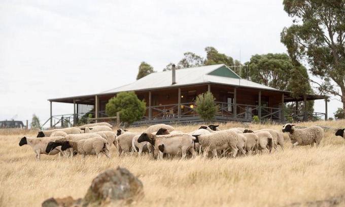 Eppalock House | Cozy Gilgraves Vineyard Farmstay - Child-Friendly Retreat