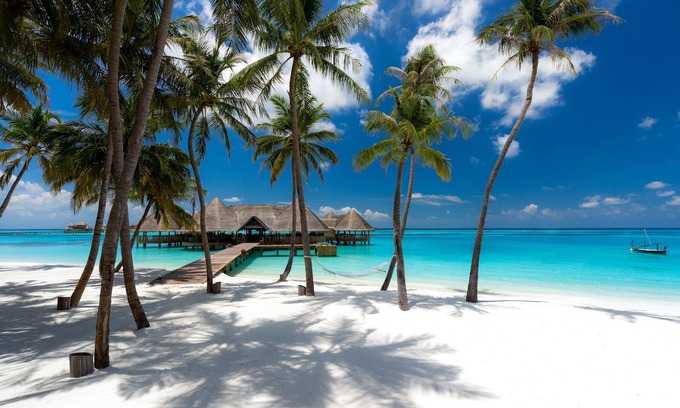 Lankanfushi Island Resort | Luxury Gili Lankanfushi Maldives - Guest Rated 9.6/10