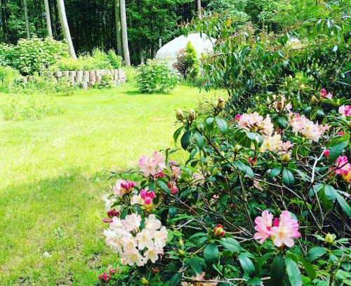 East Dereham Other | Experience Gingerbread Cottage Yurts: Eco-Friendly Retreat